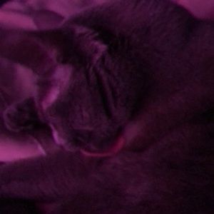 Meet your Posher, Moises